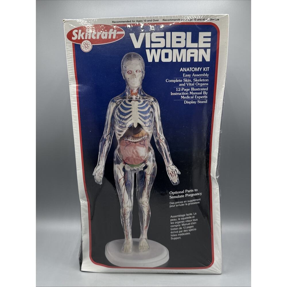 Vintage Skilcraft Visible Woman Anatomy Model Kit (40156) Sealed Box Damage